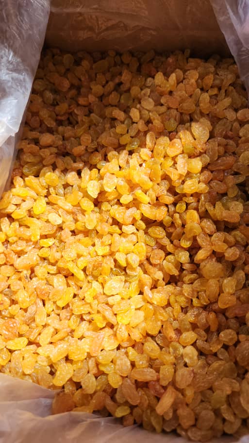 کشمش مرغوب متین