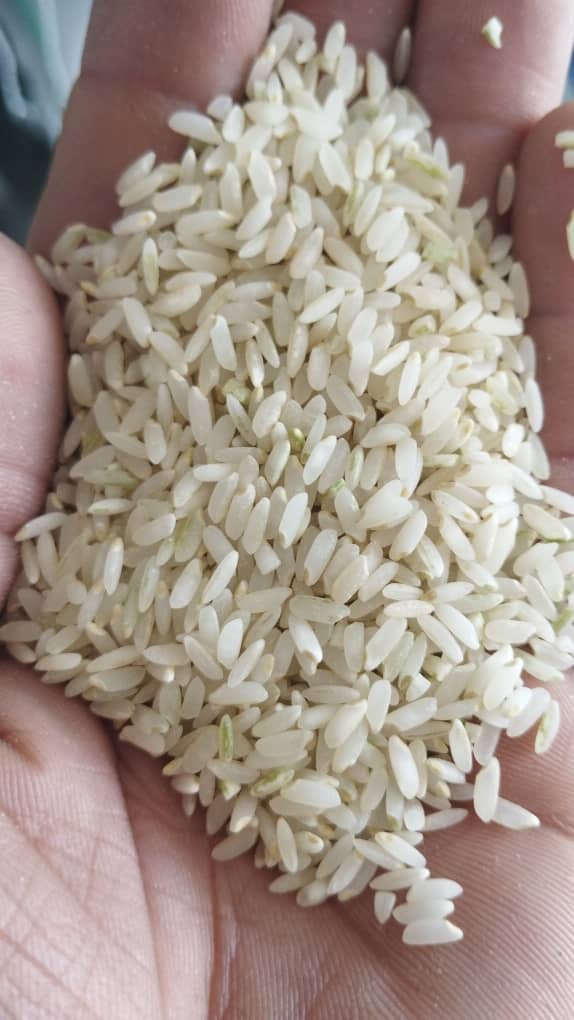 فروش برنج عنبربو خوزستان درجه یک