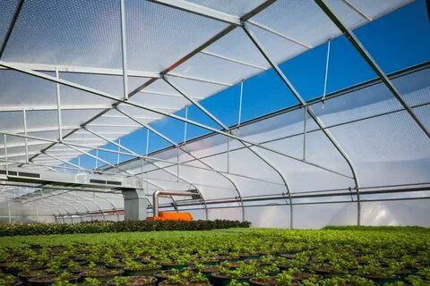 تصویر 2 از خرید آنلاین نایلون گلخانه ای ضخیم + با پایین‌ ترین قیمت