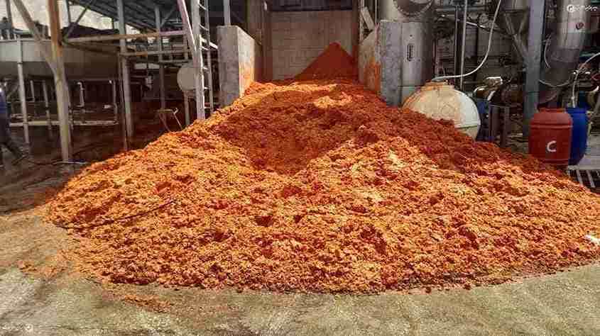 قیمت تفاله رب