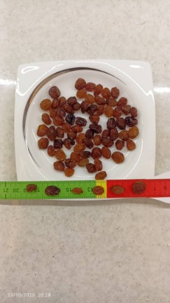 کشمش پلویی آفتابی + قيمت بصرفه