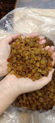 کشمش پلویی آفتابی +فروش عمده