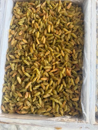 قیمت کشمش سبز + فروش ویژه