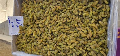 کشمش سبز متوسط خليل آباد + فروش عمده