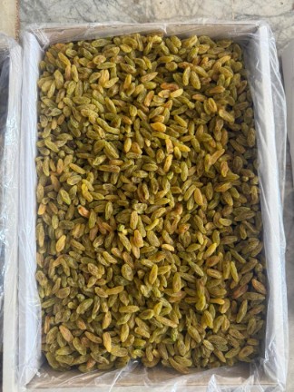 فروش ویژه کشمش سبز + خرید به صرفه