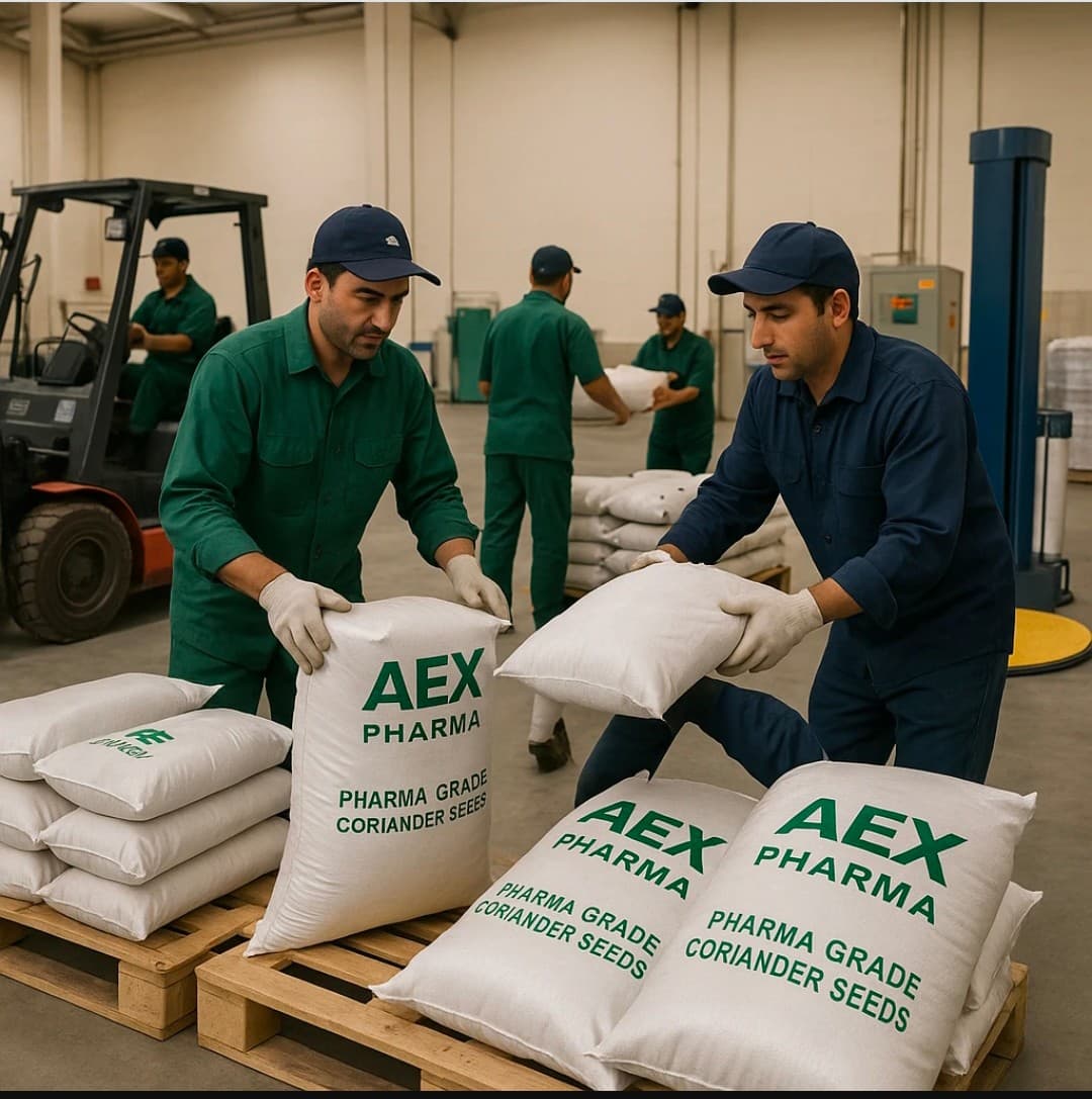 تولید گشنیز نهاوند طلای سبز صادراتی ایران AEX محمد خزایی