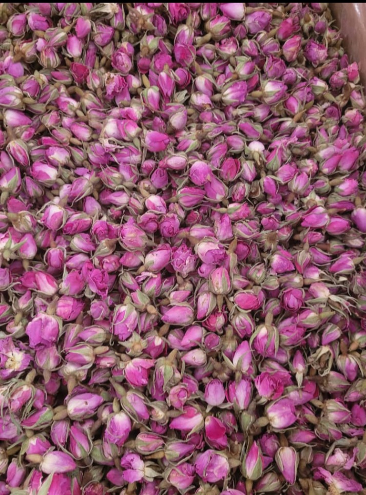 خرید عمده غنچه گل محمدی خشک + خرید باور نکردنی