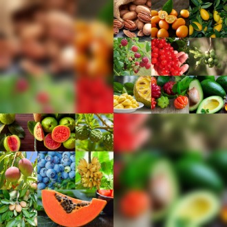 مشاوره احداث مزرعه میوه های استوایی در ایران + فروش نهال میوه های استوایی