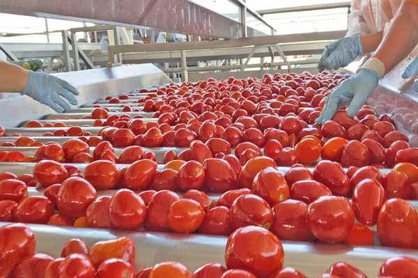 تصویر 2 از قیمت و خرید رب گوجه فرنگی شهدین 400 گرم + فروش ارزان