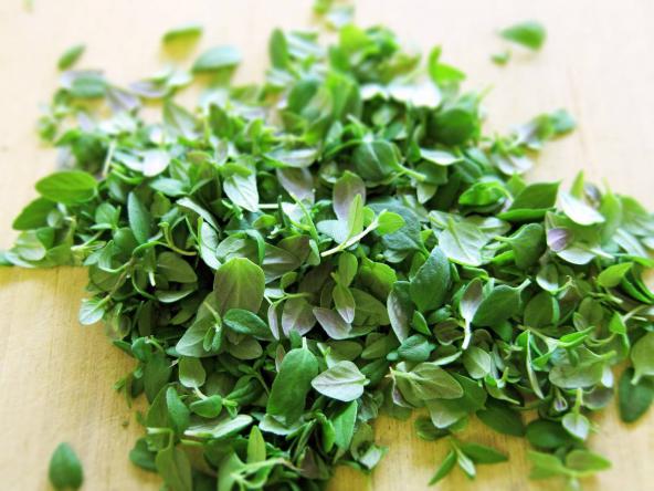 تصویر 3 از فروش آویشن شیرازی برگ صادراتی با کیفیت ممتاز