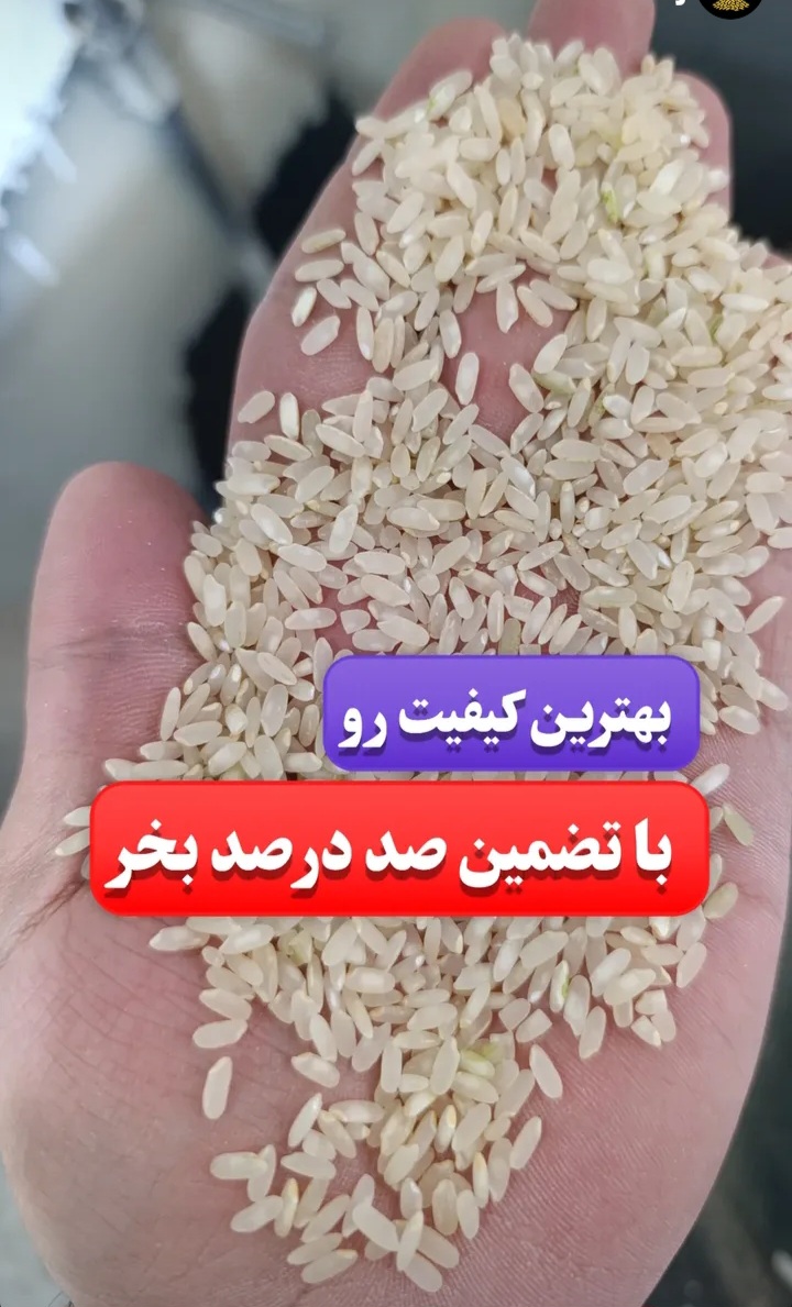 خرید آنلاین برنج کامفیروزی با ضمانت بازگشت وجه + قیمت به صرفه