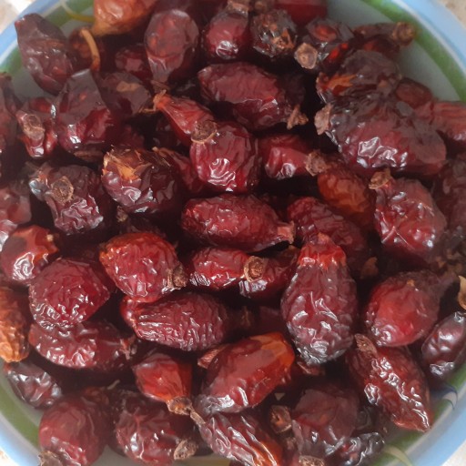 فروش و خرید عمده میوه نسترن ارگانیک