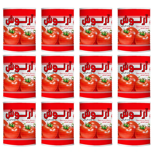 قیمت خرید رب گوجه فرنگی آرنوش 800 گرم مجموعه 12 عددی با فروش عمده