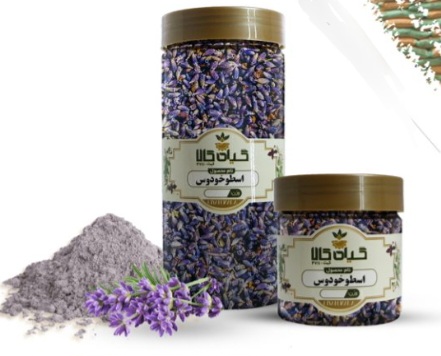 فروش گیاه اسطخودوس خشک یا پودری + قیمت خرید به صرفه