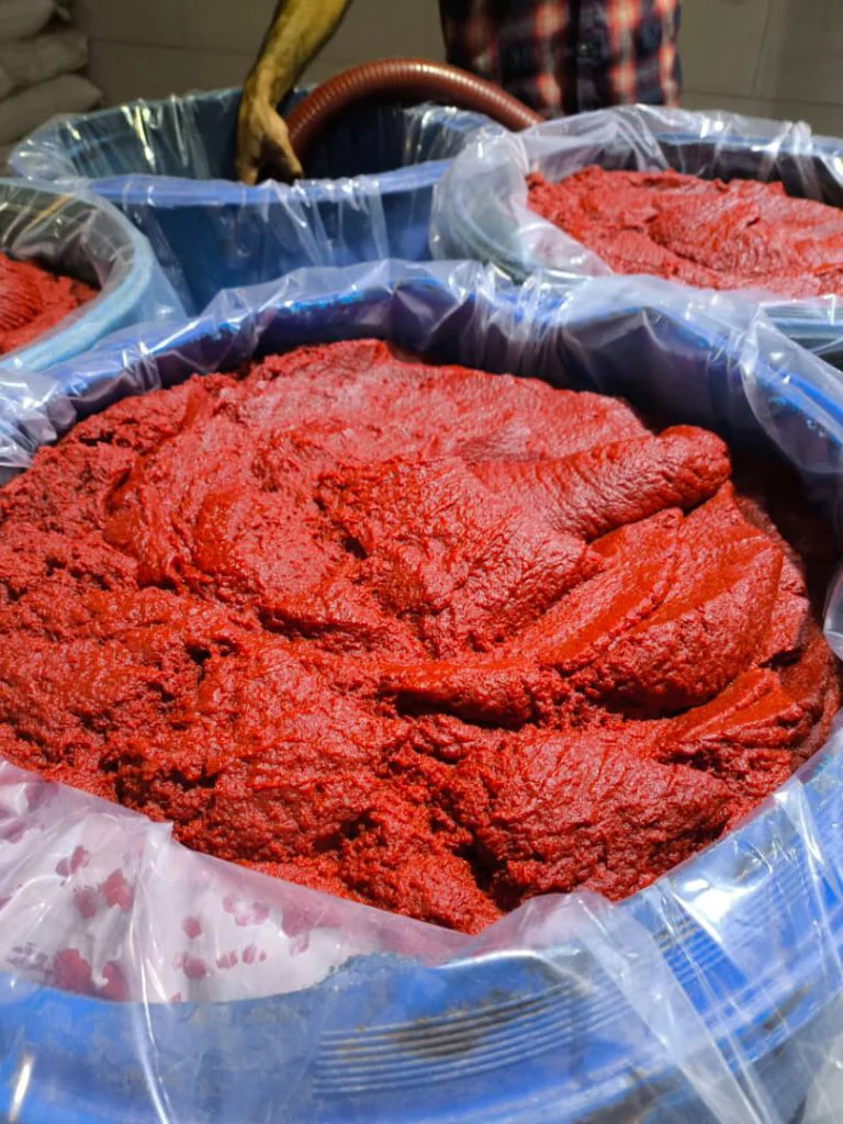 خرید  رب گوجه اسپتیک با بریکس 38 + بهترین قیمت