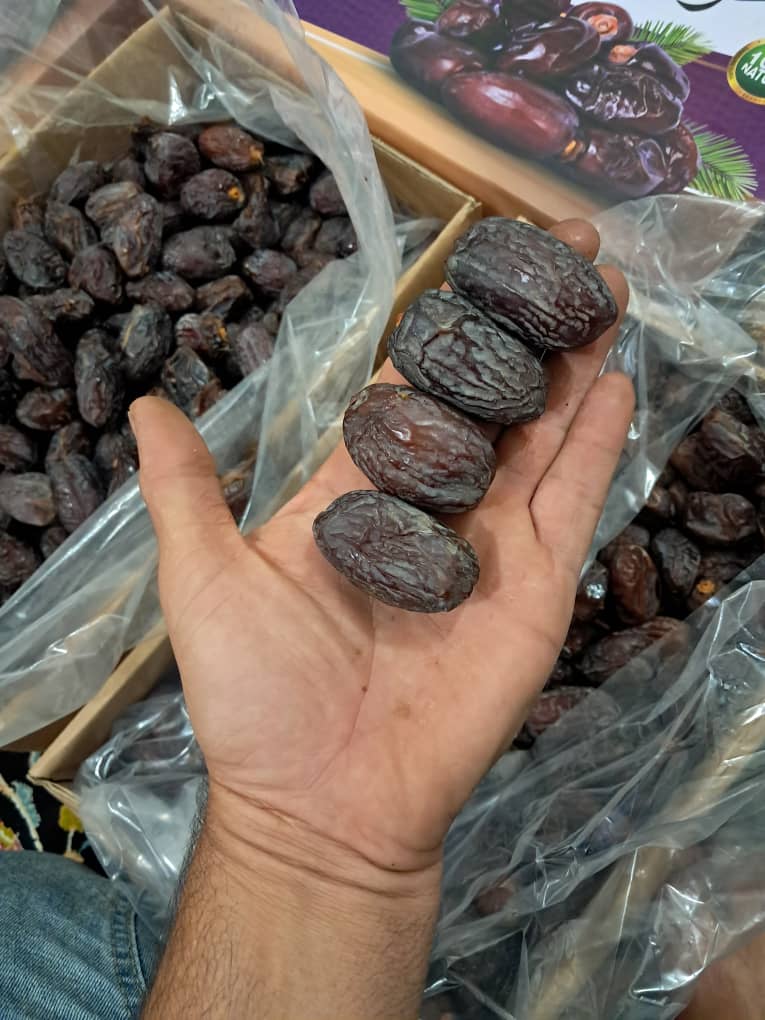 فروش عمده خرما مجول