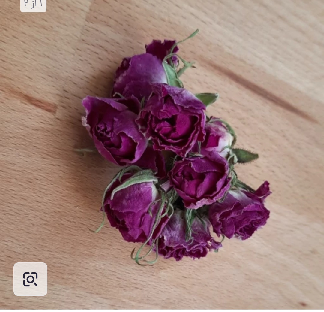 فروش گل محمدی ارگانیک ایران انتخاب مطمئن بازارهای بین المللی