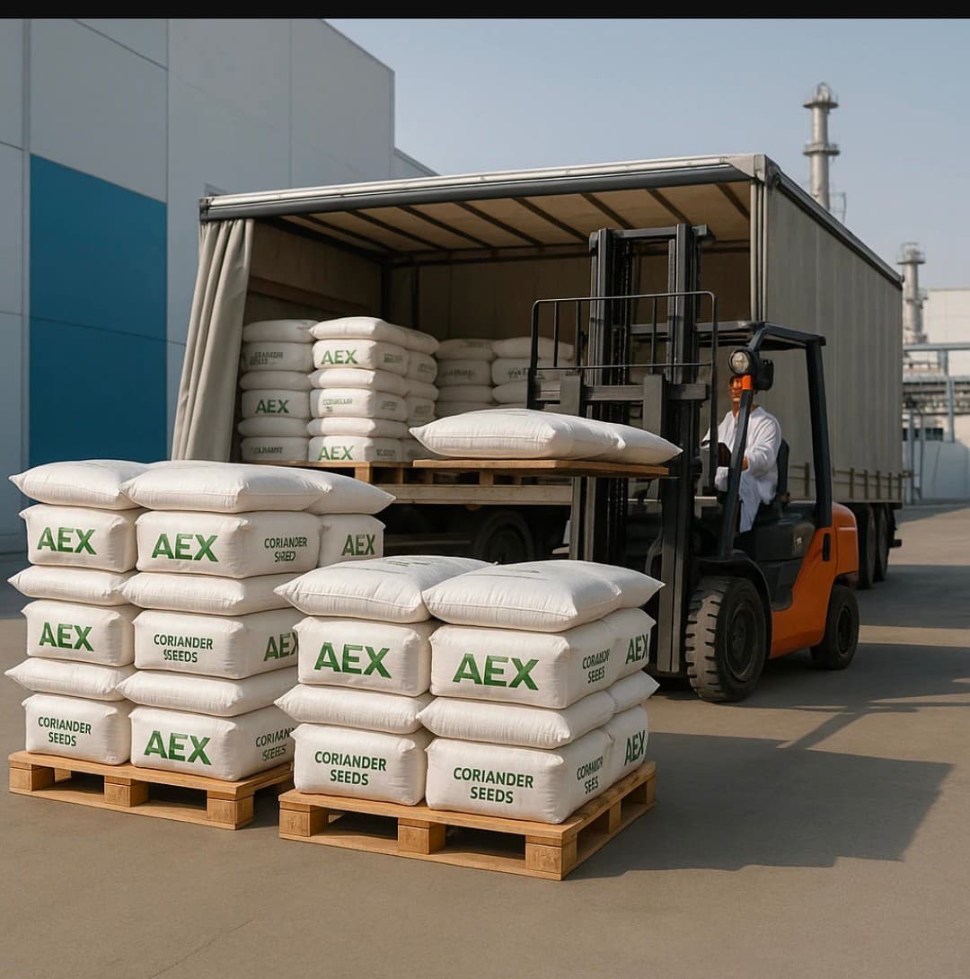 روش های افزایش فروش گشنیز ایران به ترکیه و امارات + قیمت عمده