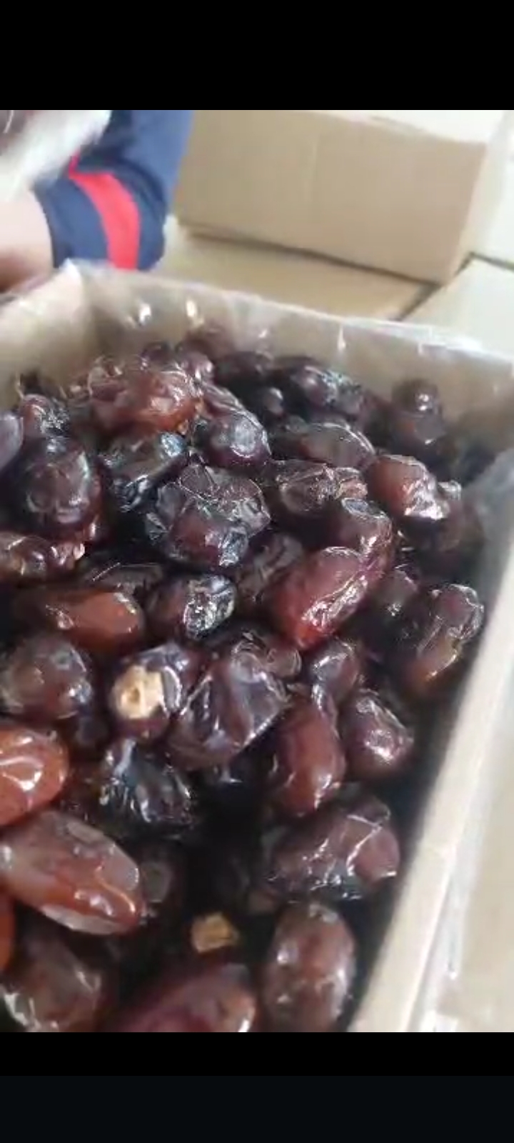 خرما کبکاب قیمت استثنایی + فروش عمده