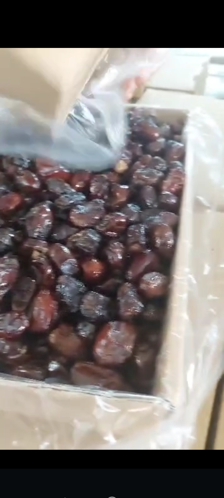 خرما کبکاب درجه یک برداشت امسال + فروش عمده