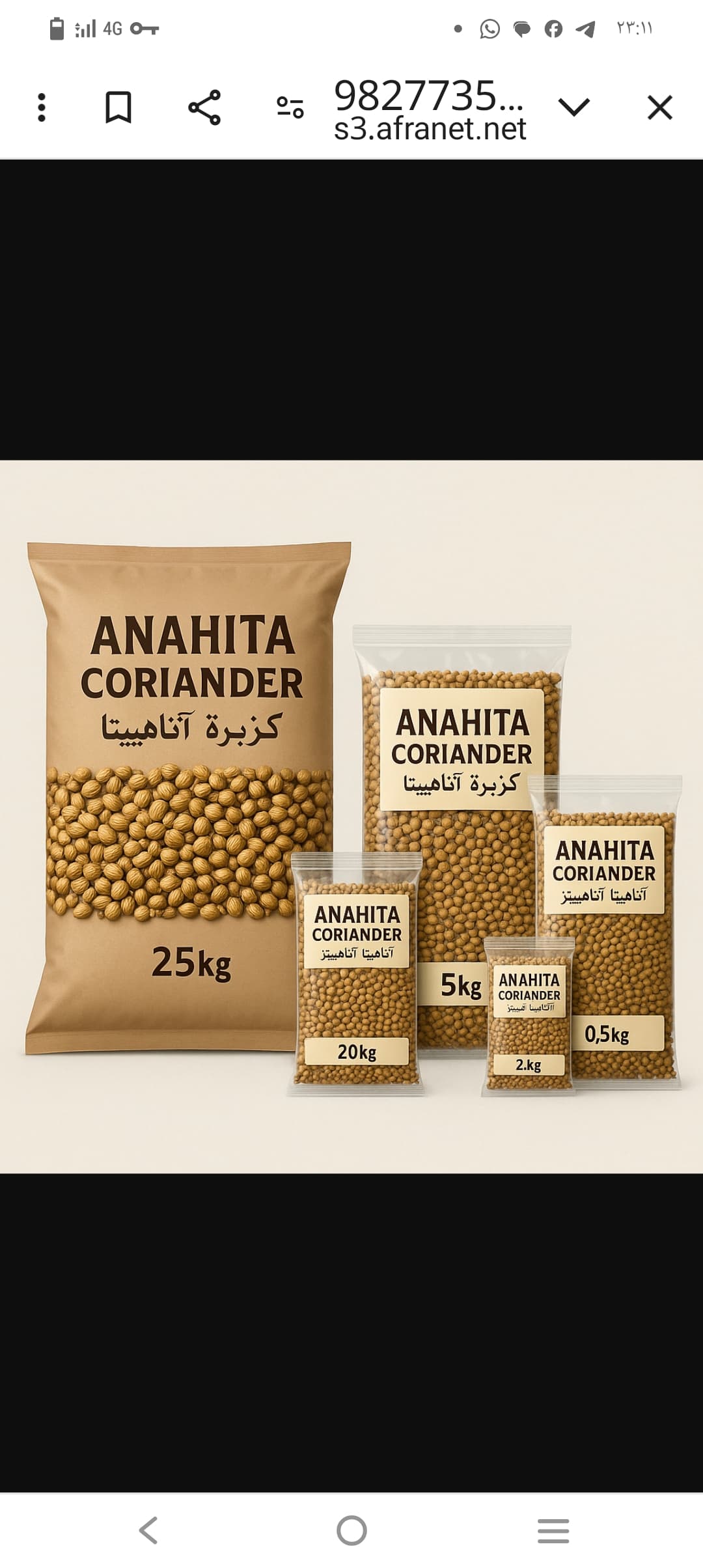 بررسی خرید گشنیز ایرانی و تحلیل روند فروش