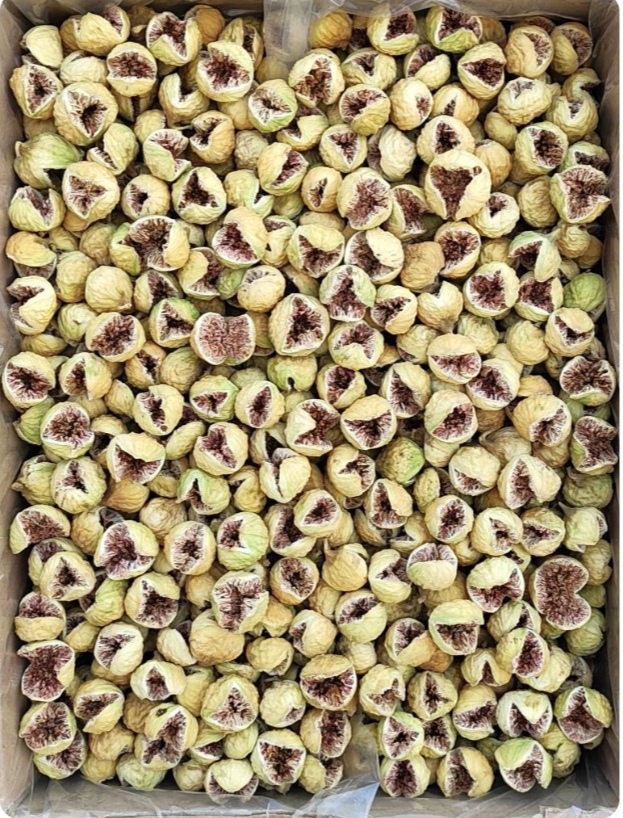 خرید ویژه انجیر دهان باز + قیمت استثنایی