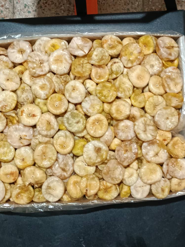 خرید انجیر کرمانشاه (ریجاب) با قیمت واقعی