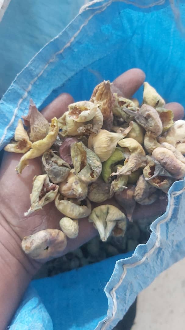 فروش انجیر خشک ضایعات + ویژه مربا