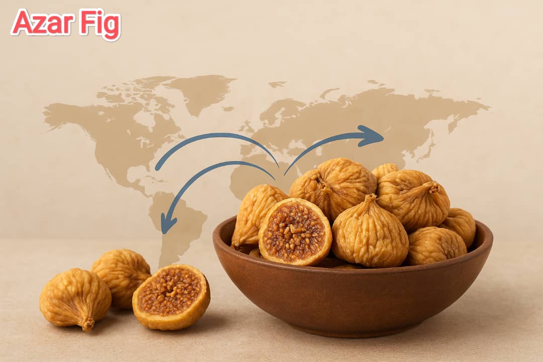 قیمت انجیر استهبان + ویژه صادرات