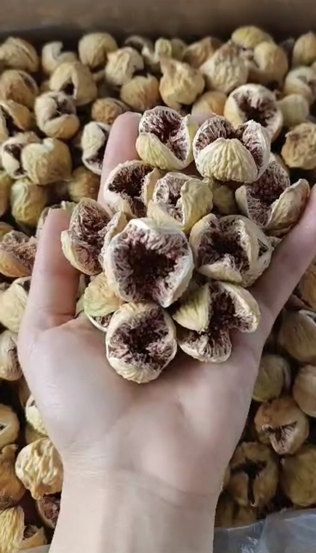 فروش فوق العاده انجیر سوپر پرک صادراتی