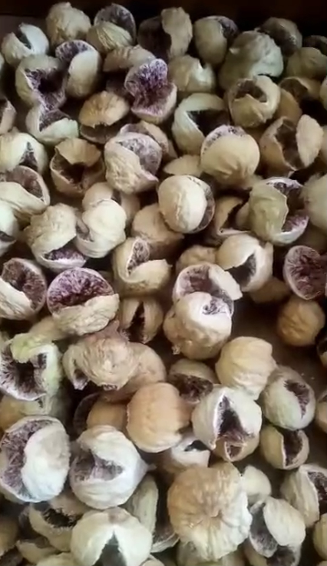 صادرات انجیر دهان باز + مخلوط پرک صد یک