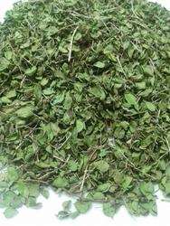 تصویر 1 از خرید آویشن شیرازی برگ صادراتی با کیفیت ممتاز