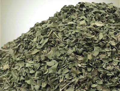 تصویر 2 از خرید آویشن شیرازی برگ صادراتی با کیفیت ممتاز