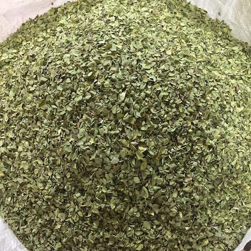 تصویر 3 از خرید آویشن شیرازی برگ صادراتی با کیفیت ممتاز