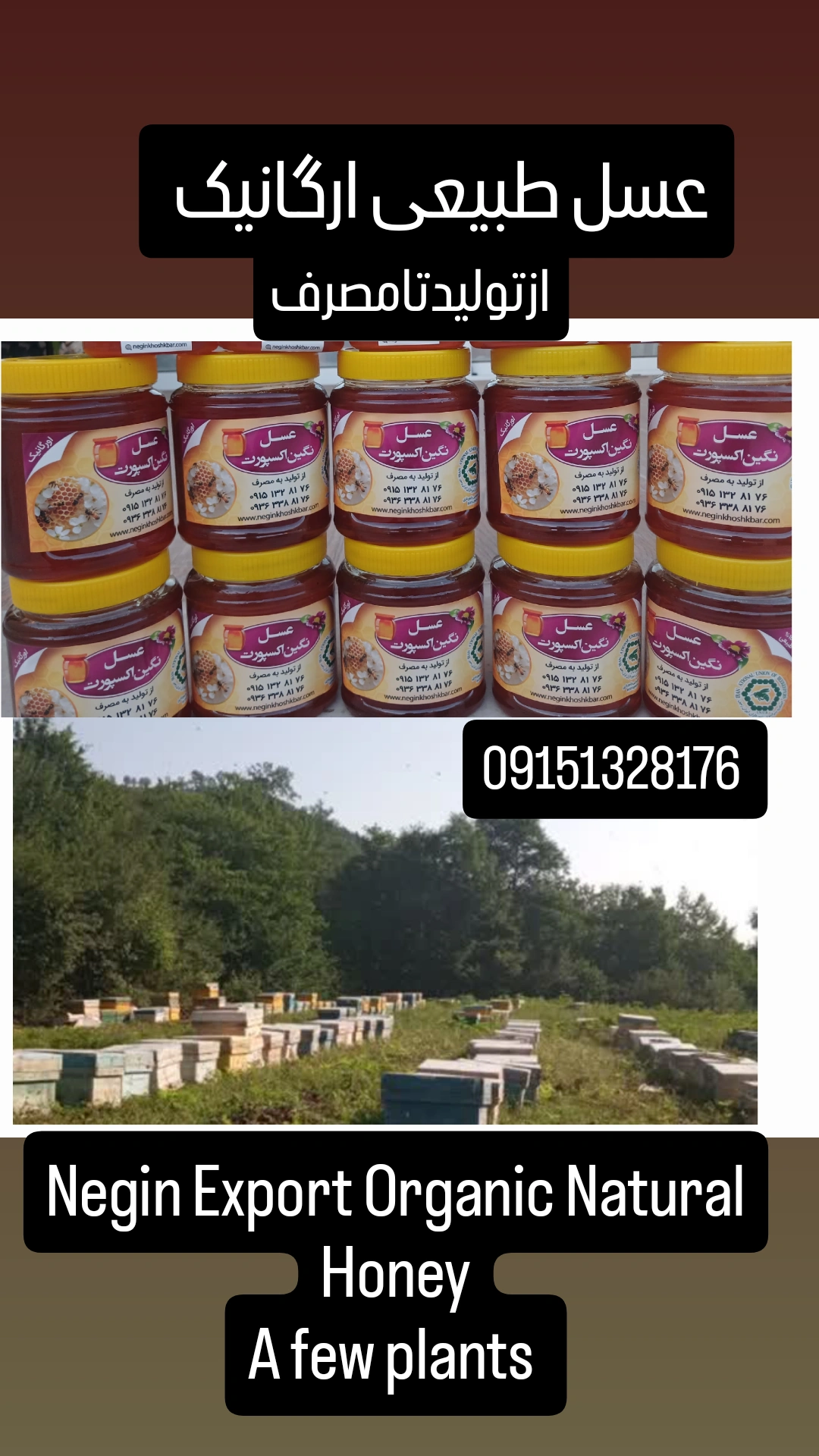 خرید عسل جنگلی + فروش نقدی