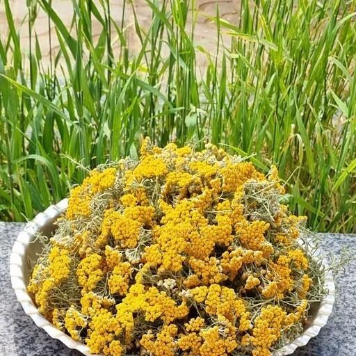 فروش عمده بومادران خشک صادراتی + قیمت رقابتی از برند روناکو