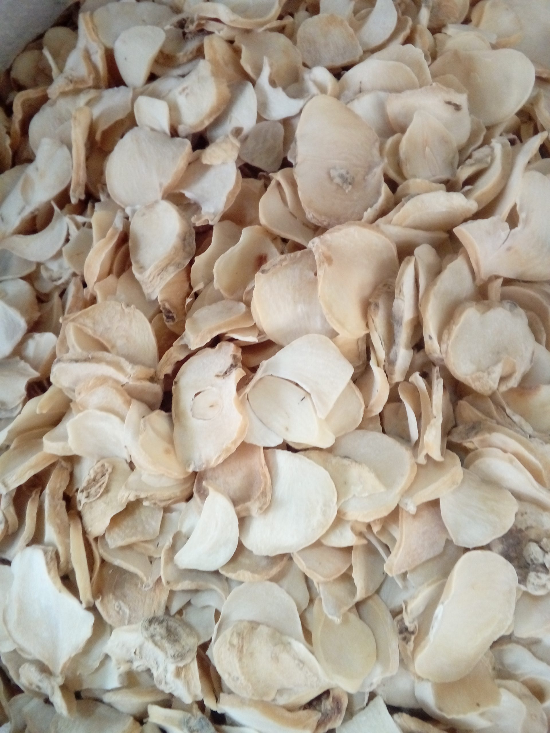 تصویر 2 از خرید موسیر خشک اسلایس صادراتی از روناک تجارت جهانبین