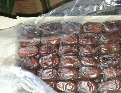 فروش خرما کلوته صادارت درجه یک جیرفت