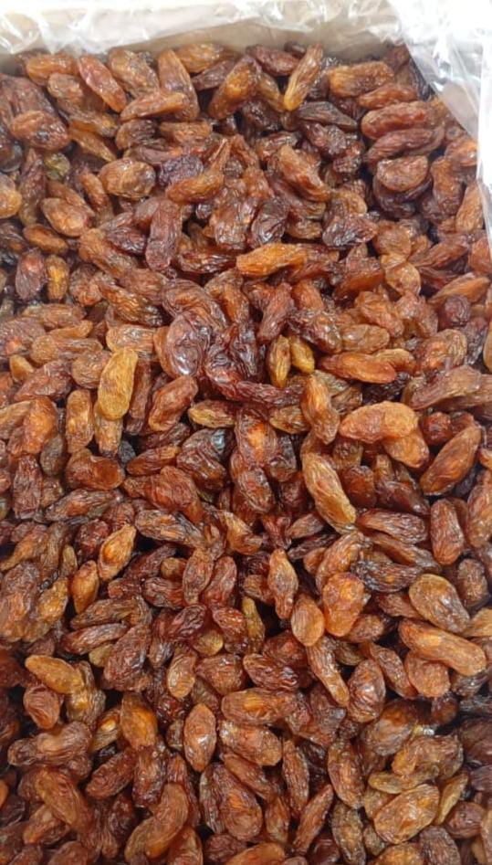 قیمت روز کشمش آفتابی