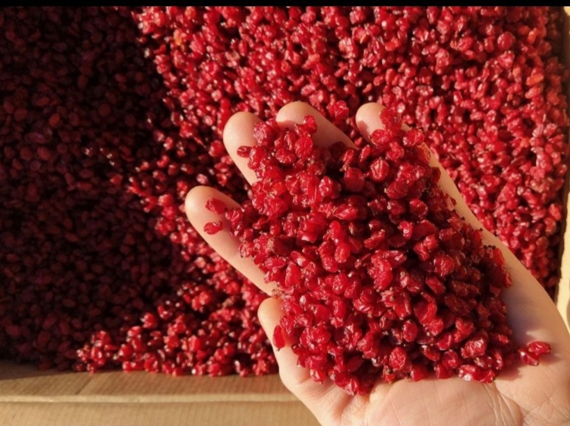 قیمت خرید زرشک اناری لوکس