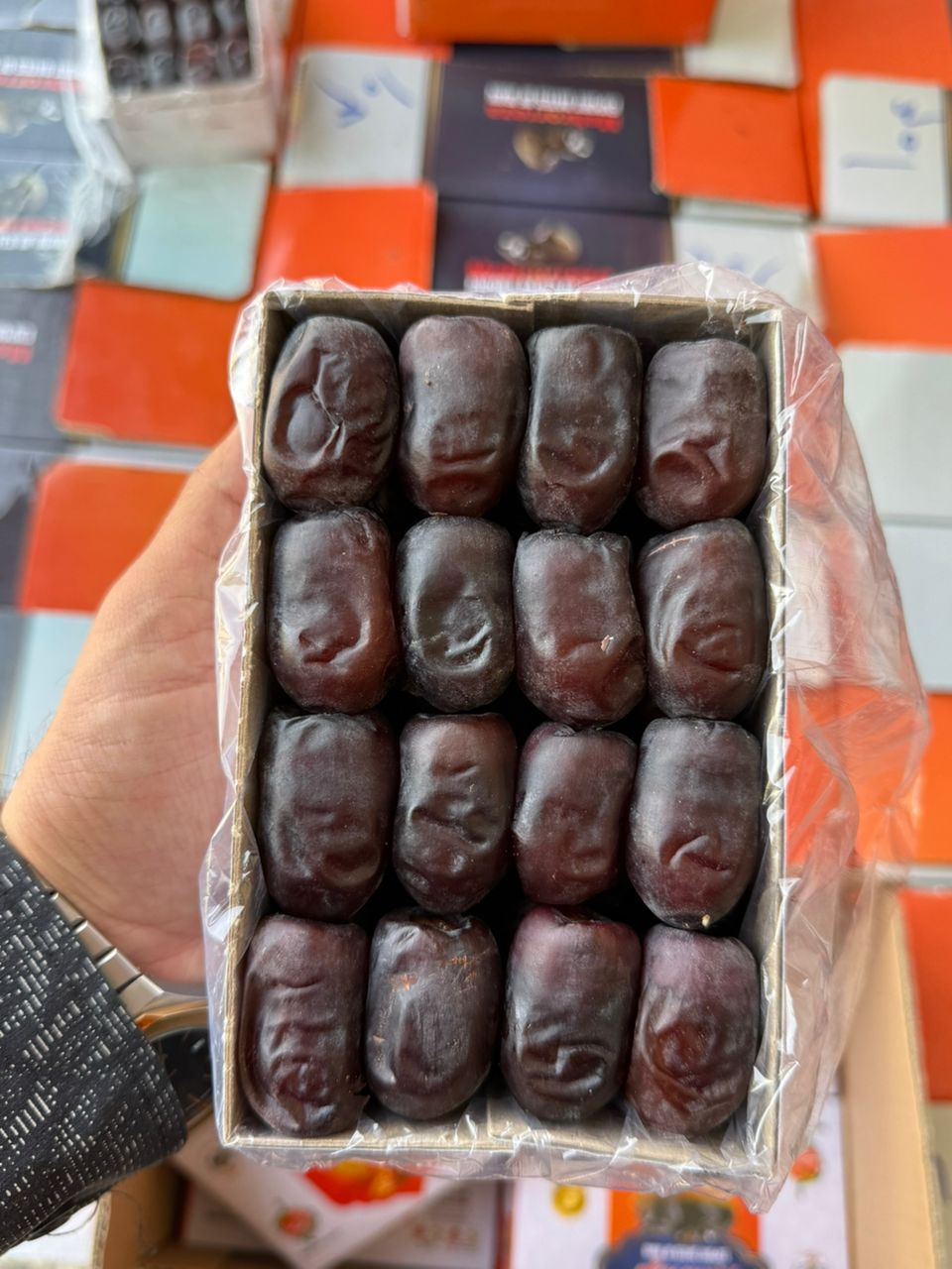 فروش خرما مضافتی مرغوب کشاورزان ریگان + خرید