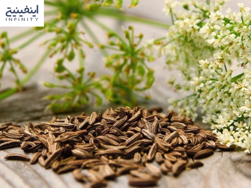 فرصت ویژه خرید زیره سبز صادراتی با نرخ همکاری مستقیم از مبدأ تولید.