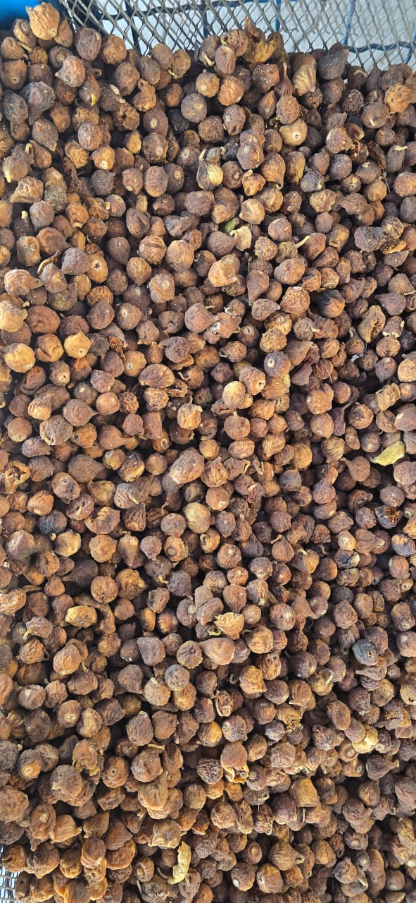 فروش انجیر صنعتی + قیمت باور نکردنی