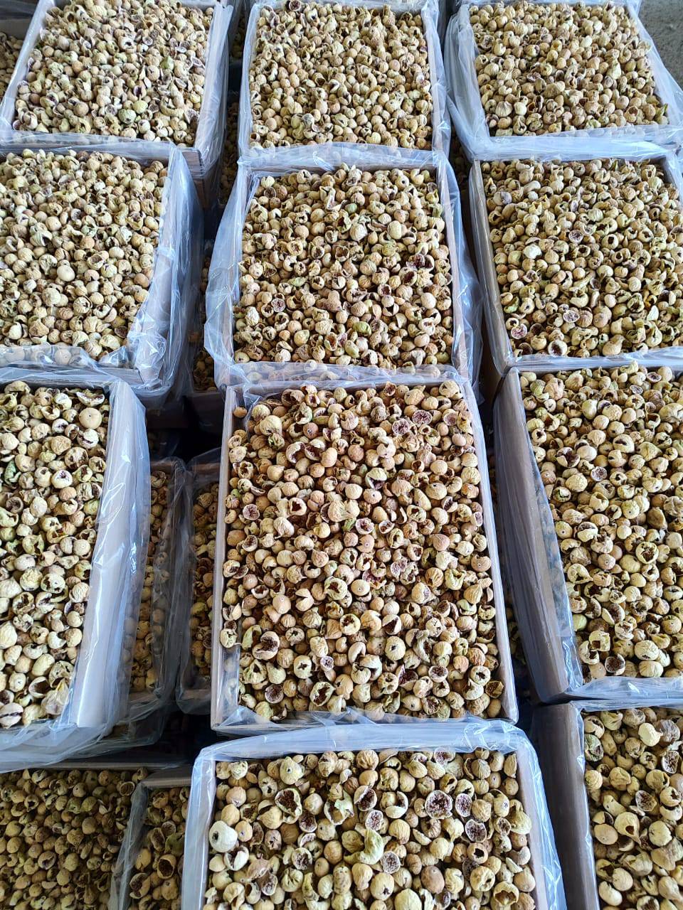 فروش عمده انجیر درهم + خرید فوق العاده