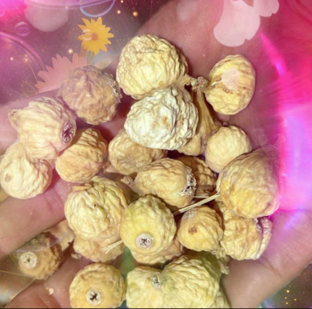 فروش بهترین انجیر مرغوب + سفید و تازه