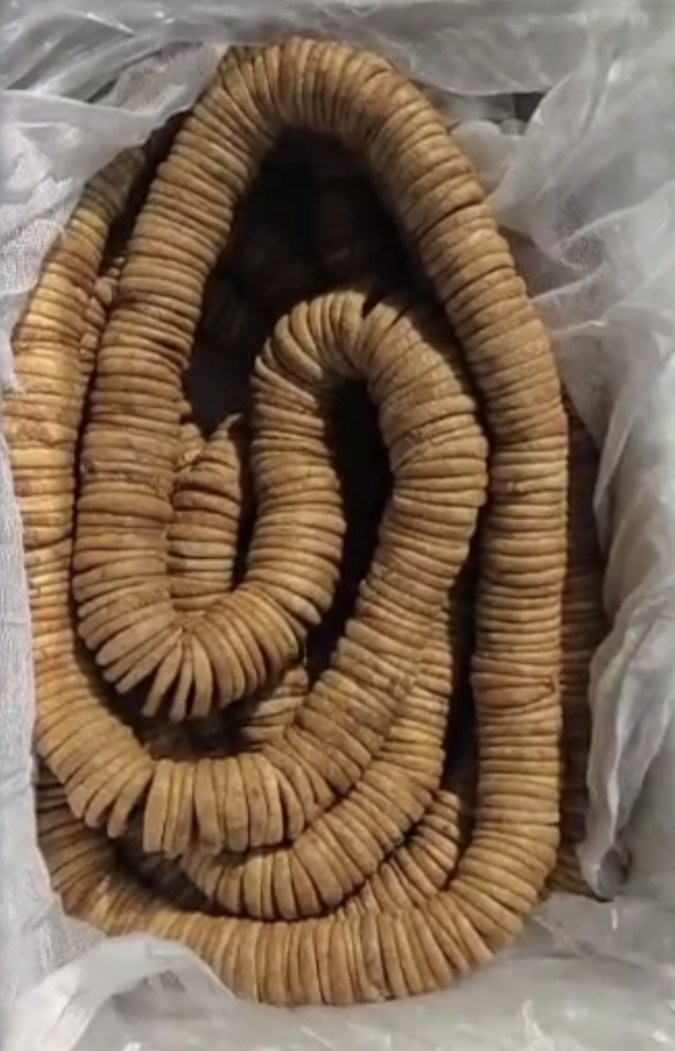 خرید انجیر سکه ای + انجیر نخی