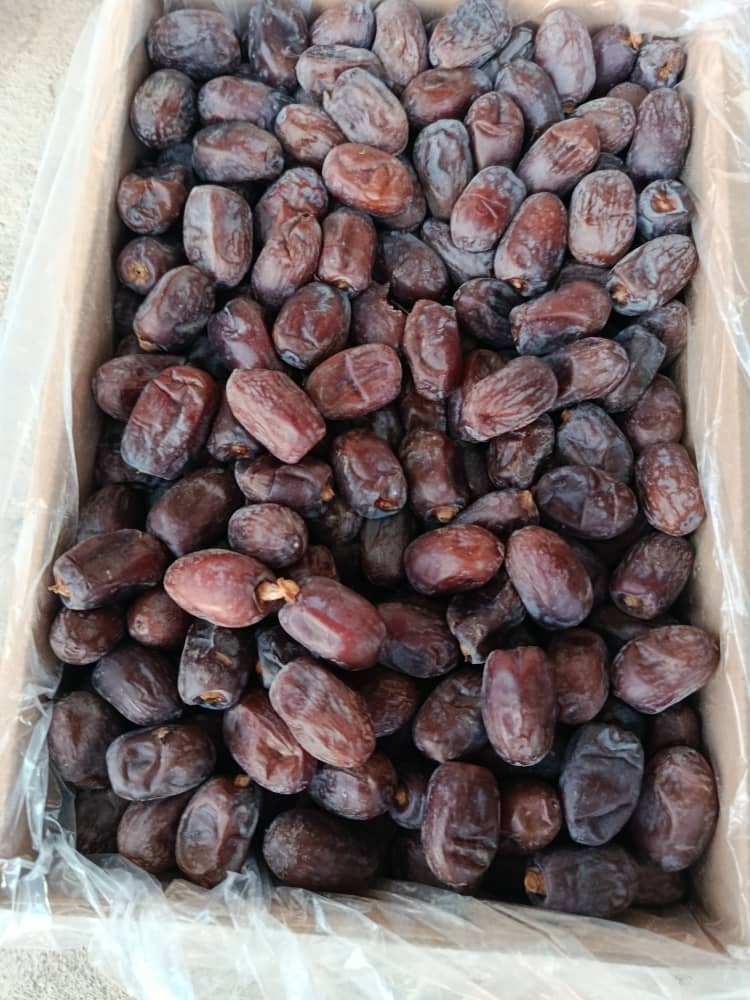 خرما کلوته صادراتی قیمت خرید عمده