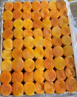 قیمت آنلاین قیصی زردآلو