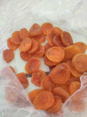 خرید امن قیصی زردآلو + قيمت رقابتی