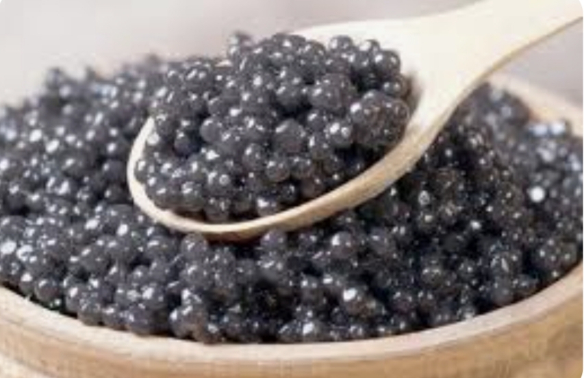 خاویار بلوگا فروش